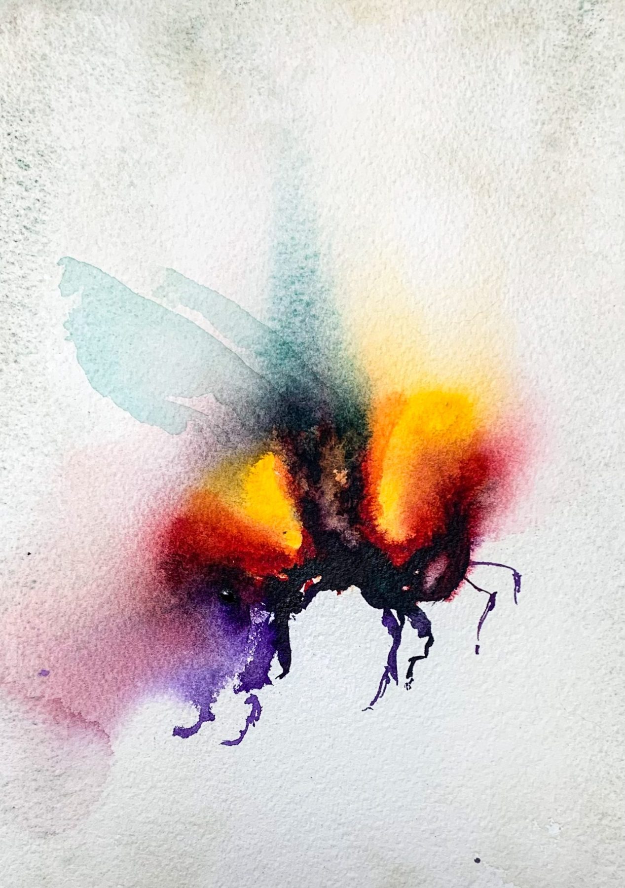 Humla i akvarell mot ljus bakgrund.