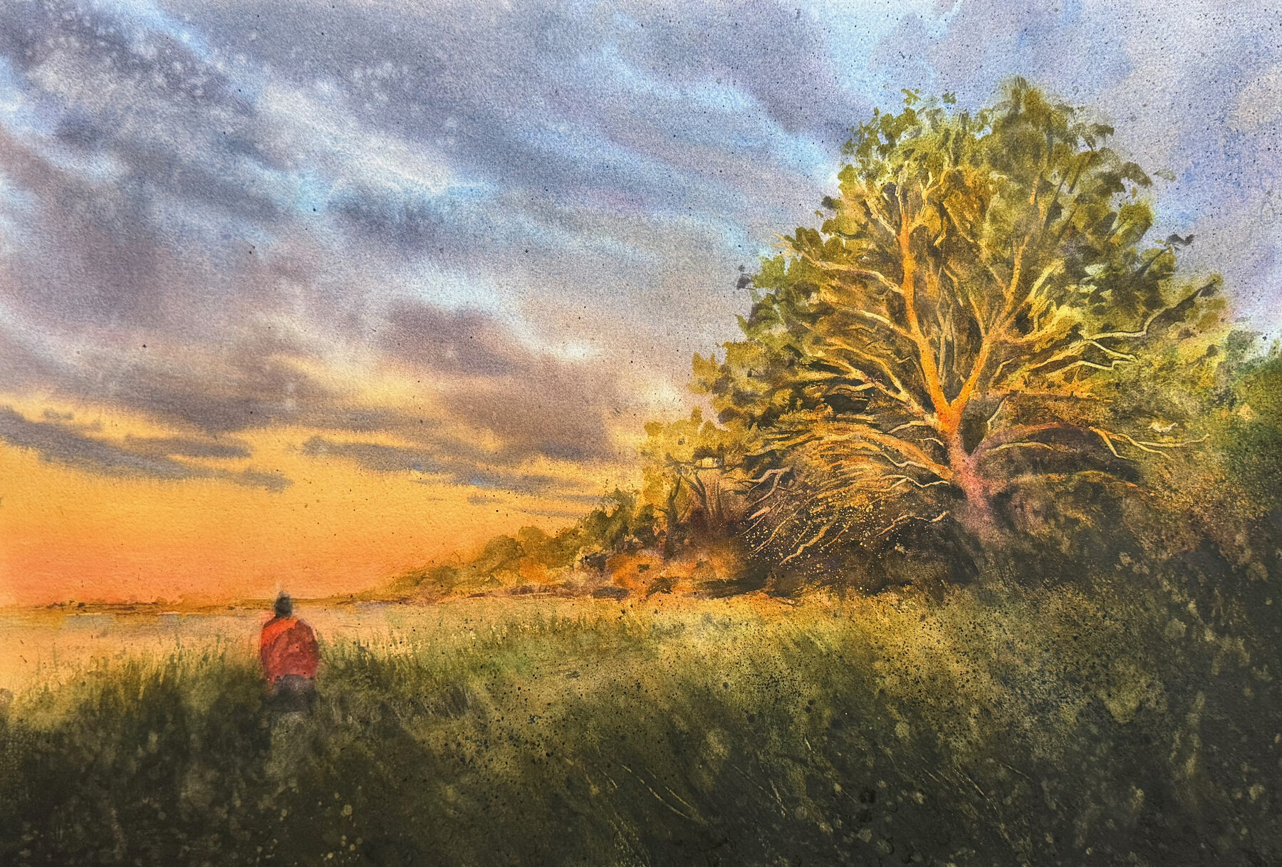 Dark green treetops with a clearing in the landscape.