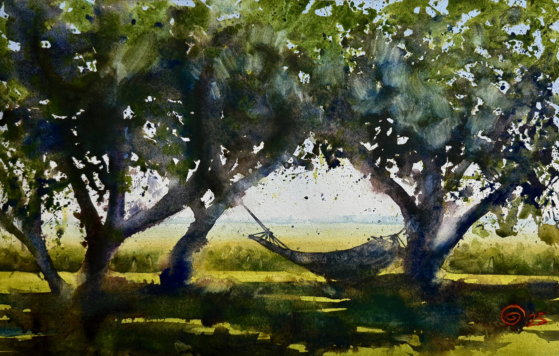 Trees in shadow opening onto a sunlit field.