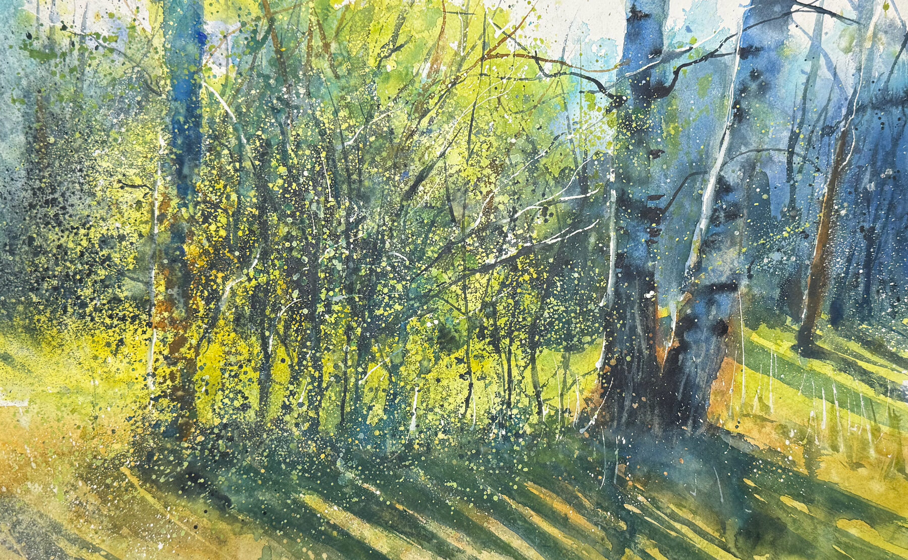 Branches and spring greenery seen through a window.