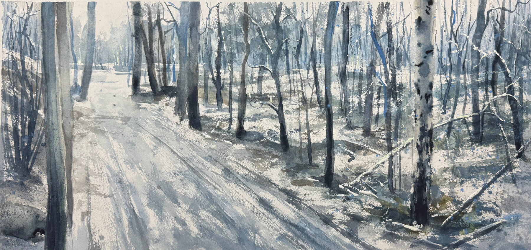 Winter path through bare trees with long blue shadows.