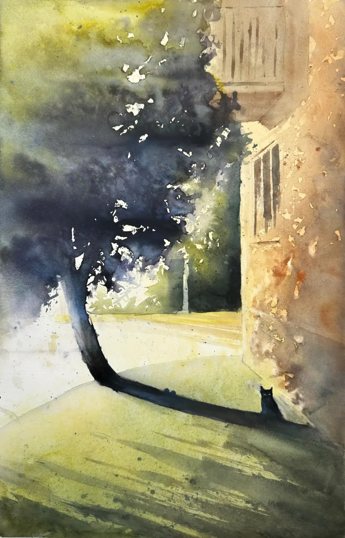 Cat in the shade of a tree next to a residential building in Skärmarbrink.